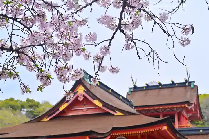 富士山本宮浅間大社(静岡県)