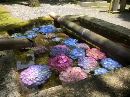 今熊野観音寺の手水舎