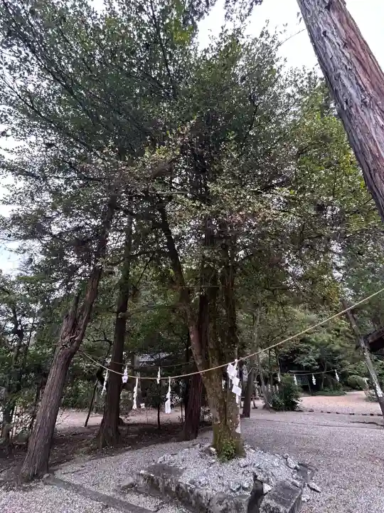 大和神社(奈良県)