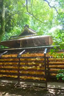 川越氷川神社(埼玉県)