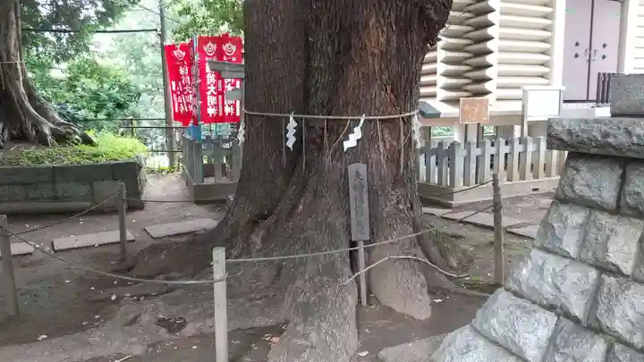 諏訪神社(東京都)
