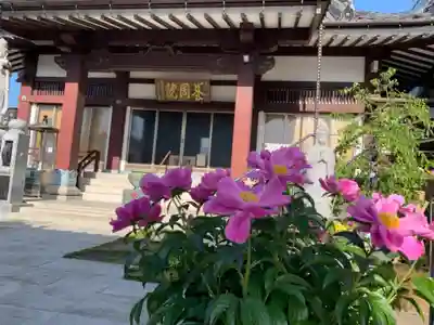 養周院の本殿・本堂