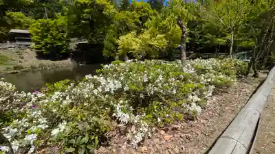 成相寺(京都府)
