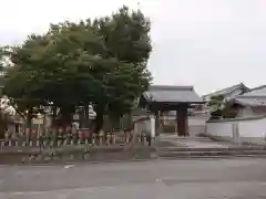 大円寺の山門