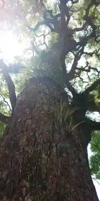 晴明神社(京都府)