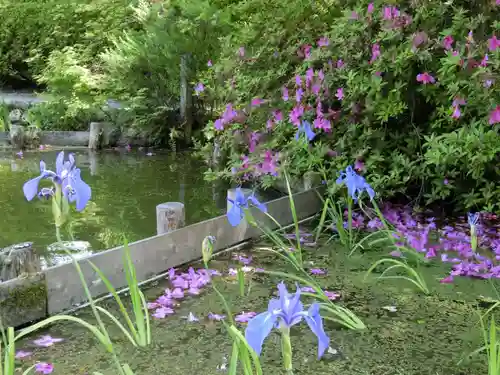 梅宮大社の自然