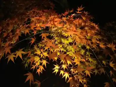 禅林寺（永観堂）(京都府)
