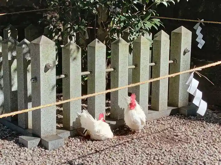 石上神宮(奈良県)