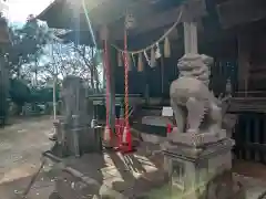 大高山神社の狛犬