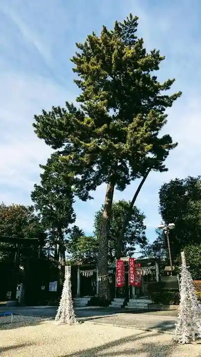 中野沼袋氷川神社の自然