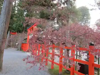 吉田神社のその他建物