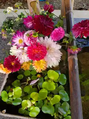 高司神社〜むすびの神の鎮まる社〜の手水舎