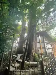 川越氷川神社の自然