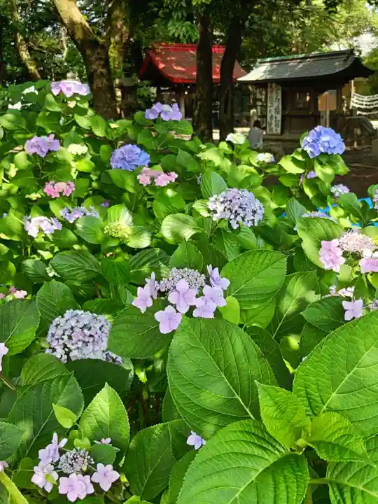 清洲山王宮 日吉神社の庭園