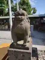 鎮守氷川神社の狛犬