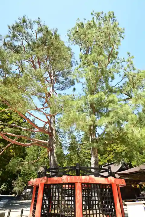 壇上伽藍(和歌山県)