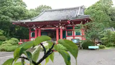 朝光寺の本殿・本堂