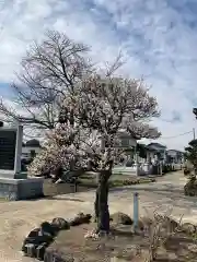 引接寺(茨城県)