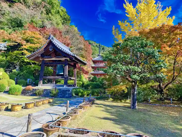 三室戸寺(京都府)