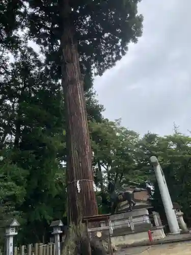 田村神社(滋賀県)