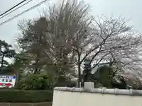 法林寺(千葉県)