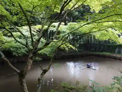 青葉神社(宮城県)