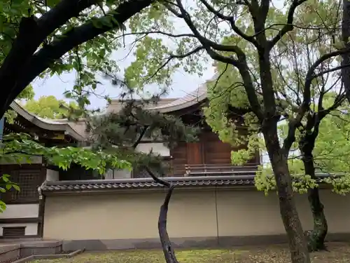 住吉神社の本殿・本堂