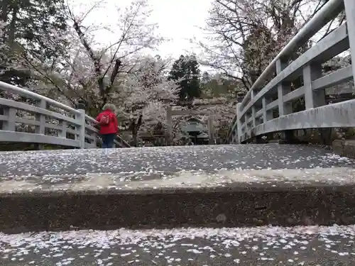 飛驒護國神社(岐阜県)