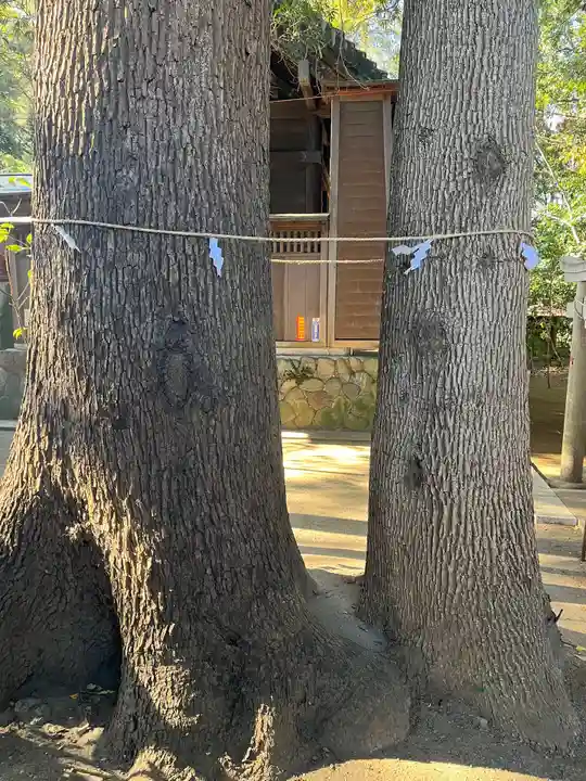 鶴嶺八幡宮の自然