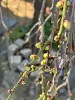 正覚寺(兵庫県)