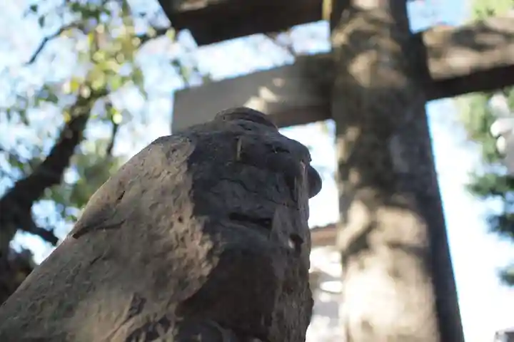 秋葉神社の狛犬