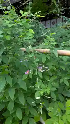 梨木神社(京都府)