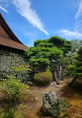 大覚寺(京都府)