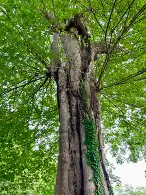 長生院(神奈川県)