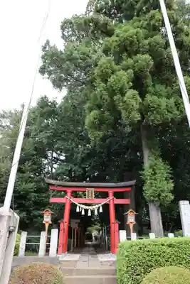 白鬚神社(埼玉県)