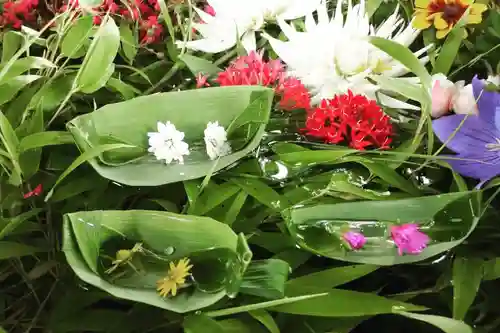 立志神社の手水舎