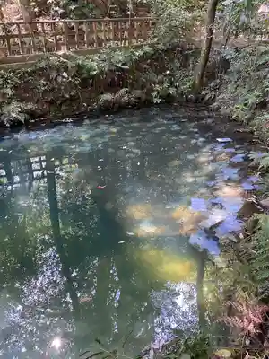 八重垣神社(島根県)