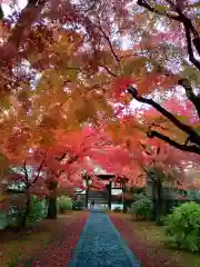 正樂寺(宮城県)