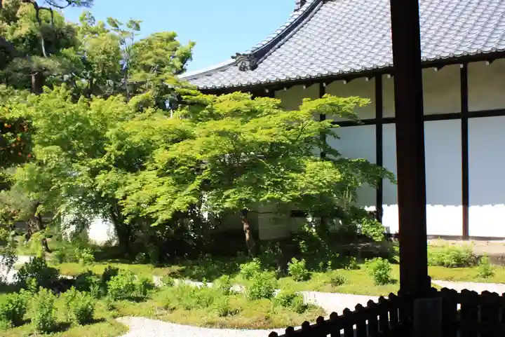 廬山寺(廬山天台講寺)(京都府)