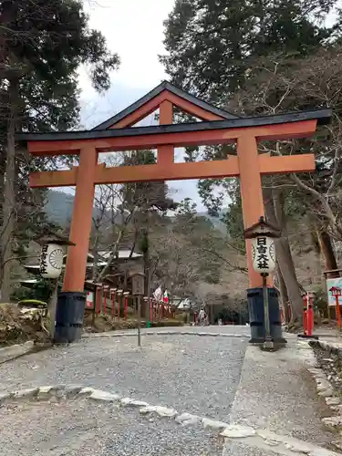 日吉大社の鳥居