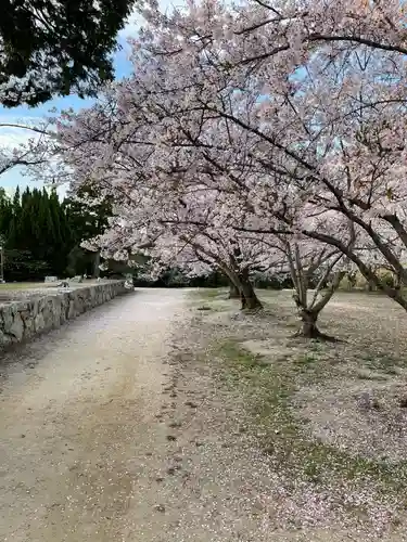 貴船神社の自然