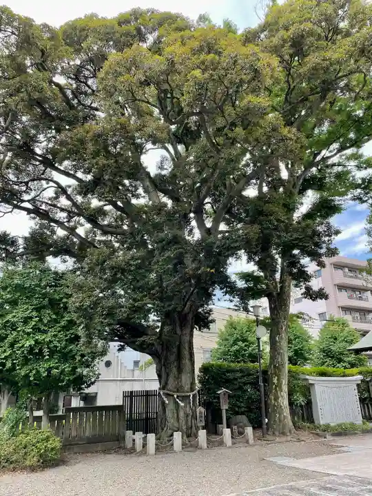 八幡大神社(東京都)