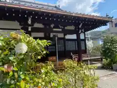 日體寺(京都府)