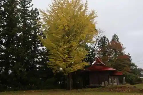 山神社の景色