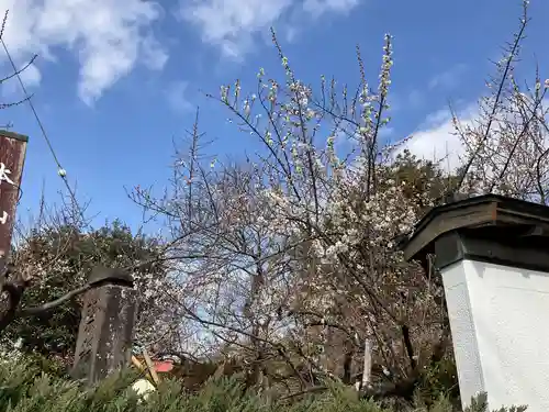 大光院(神奈川県)