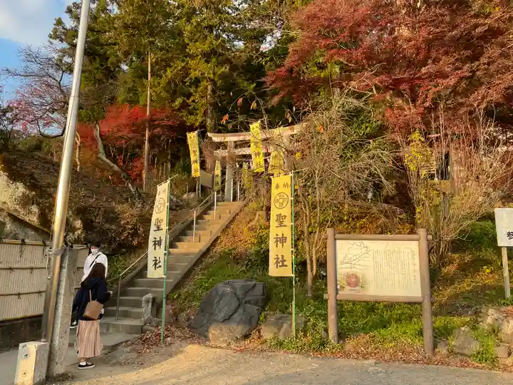 聖神社(埼玉県)
