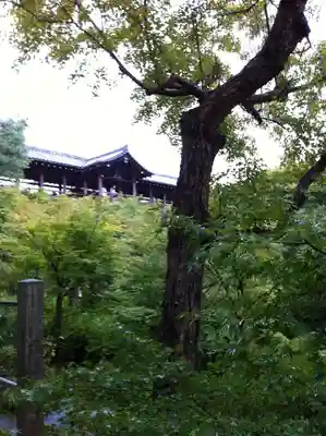 東福禅寺(東福寺)(京都府)