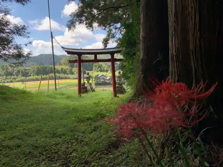 熊野神社の自然