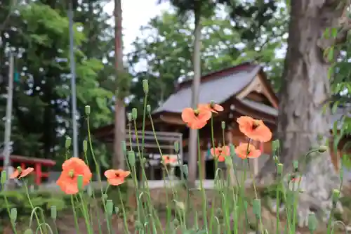 阿久津「田村神社」（郡山市阿久津町）旧社名：伊豆箱根三嶋三社の景色