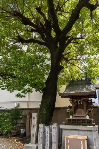 廣田神社の自然